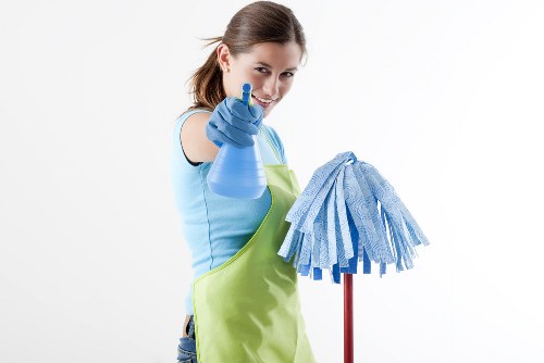 Professional carpet cleaner in Bloomsbury removing dirt from a living room carpet