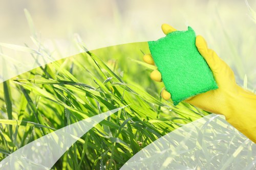 Professional carpet cleaning in a Bloomsbury home