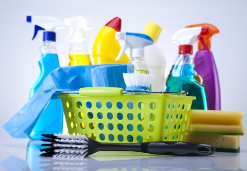 Professional oven cleaning service in Bloomsbury kitchen