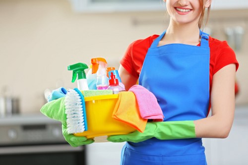 Professional sofa cleaning in Bloomsbury for a fresh and hygienic living room