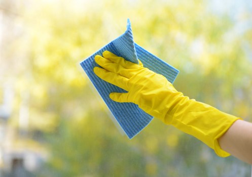 Professional upholstery cleaning in Bloomsbury for a sofa
