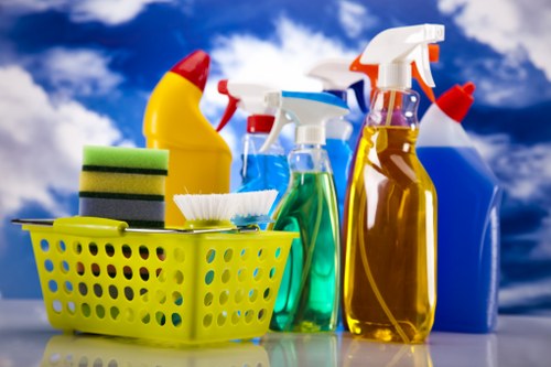 Final review of a completed deep cleaning service in Bloomsbury