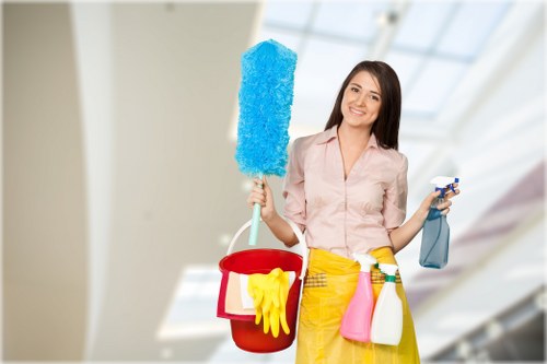 Checklist and cleaning equipment used for a deep cleaning appointment