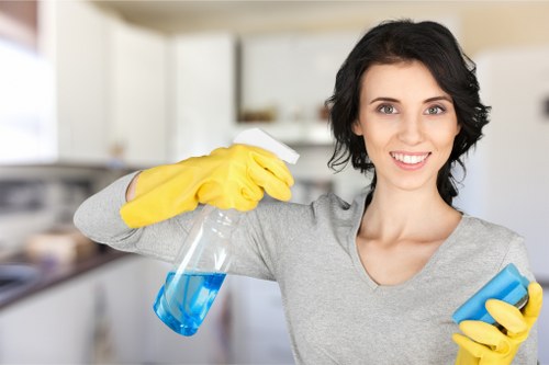 Dust removal and finishing touches after renovation in Bloomsbury
