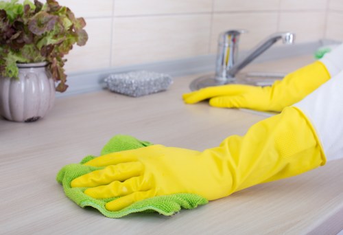 Spotless Bloomsbury property refreshed with a one-time clean