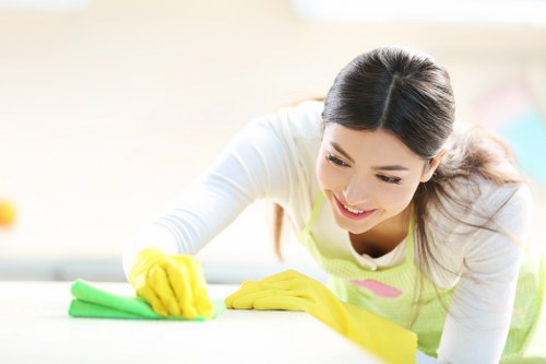Deep cleaning service for a Bloomsbury home with polished surfaces