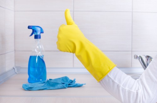 Detailed bathroom deep cleaning in Bloomsbury home