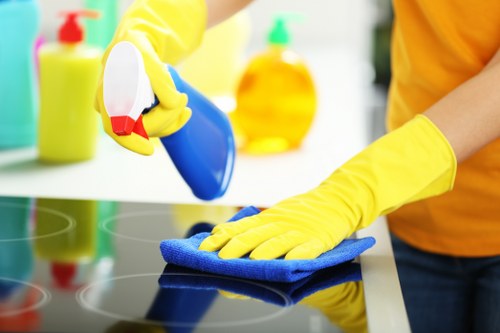 Commercial window cleaning service for a Bloomsbury property