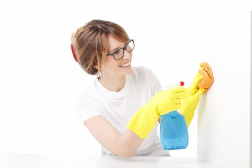 Bathroom descaling and sanitising for a Bloomsbury tenancy clean