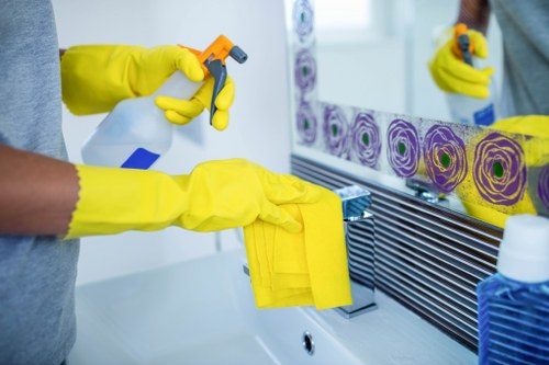 Regular Bloomsbury house cleaning in a modern apartment