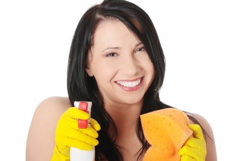 Detailed cleaning of rooms and surfaces in a Bloomsbury property