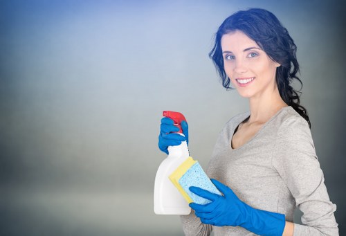 Bathroom deep cleaning in a Bloomsbury home