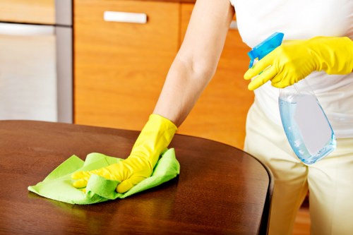 Bloomsbury domestic cleaning service in a modern apartment interior